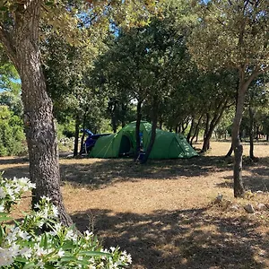 Camping Sugar Campsite Mandre